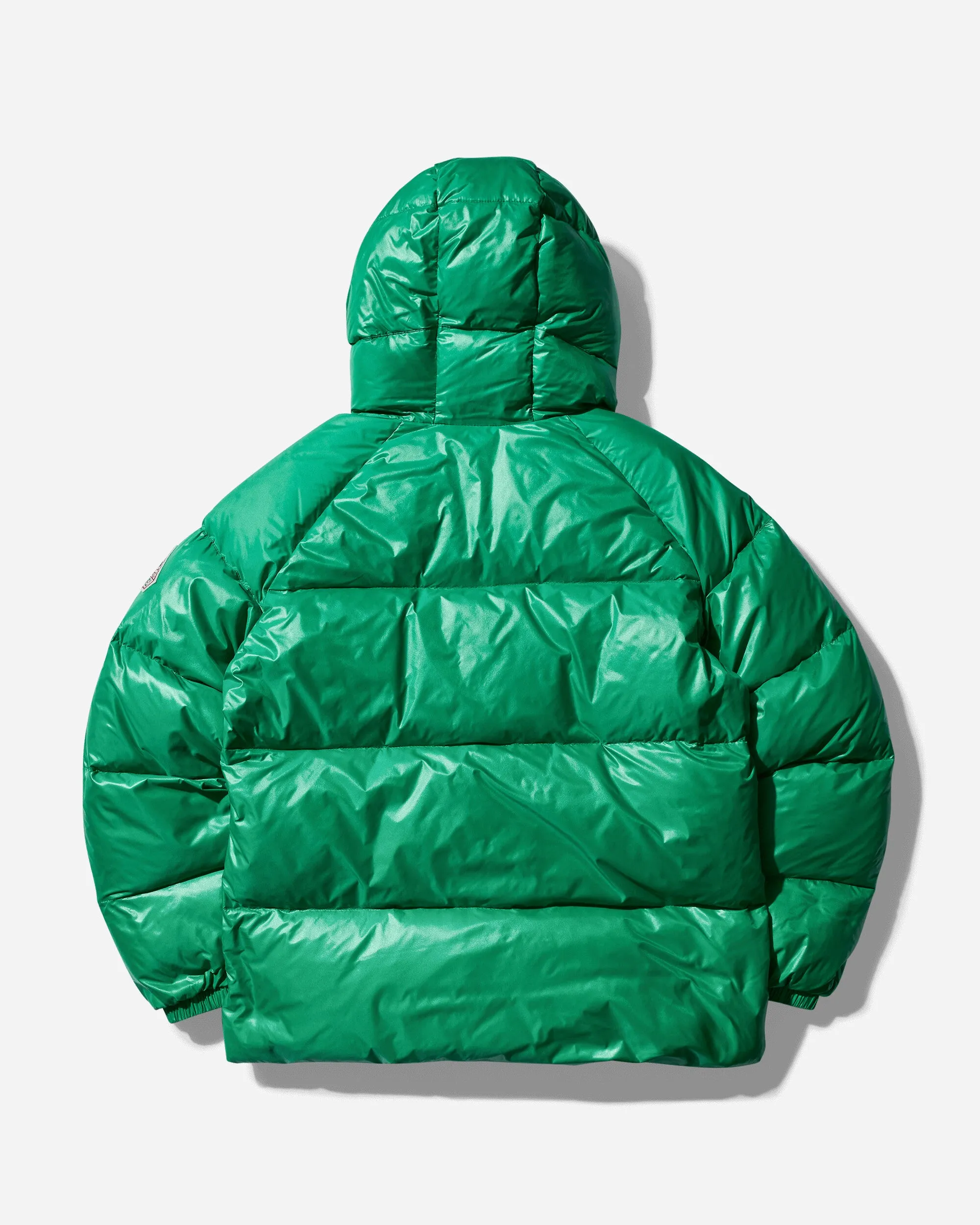 Men's Sten Shiny Down Jacket Frog